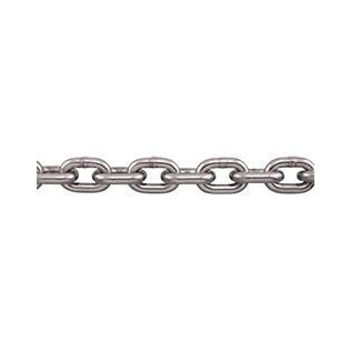  Lifting Chain, Stainless Steel, 316L, 3/16", 1,100 lb WLL - 1427422