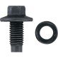  Drain Plug with Rubber Gasket M12 x 1.75mm - KT13221