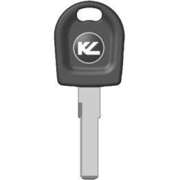  Plastic Head Key for Volkswagen (HU66-P) - 1495381